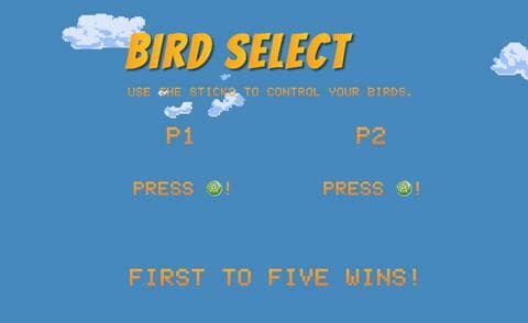 VolleyBird