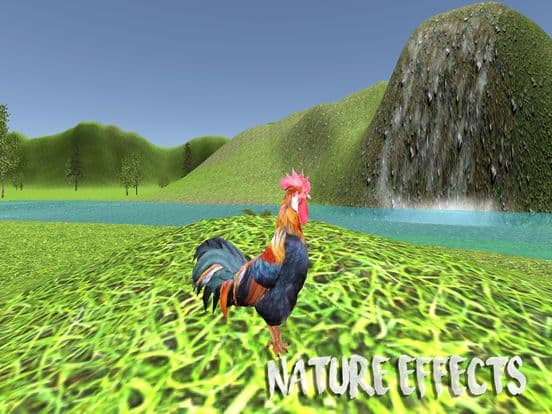 Rooster Simulator screenshot 3