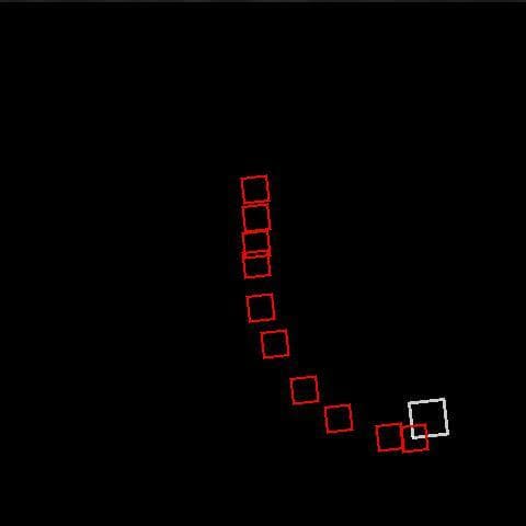 TailTrail