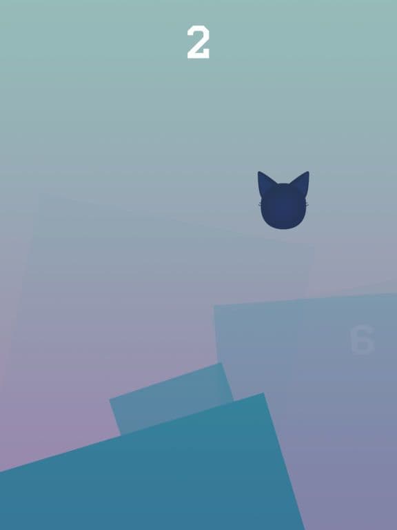 Hazy Cat Racer