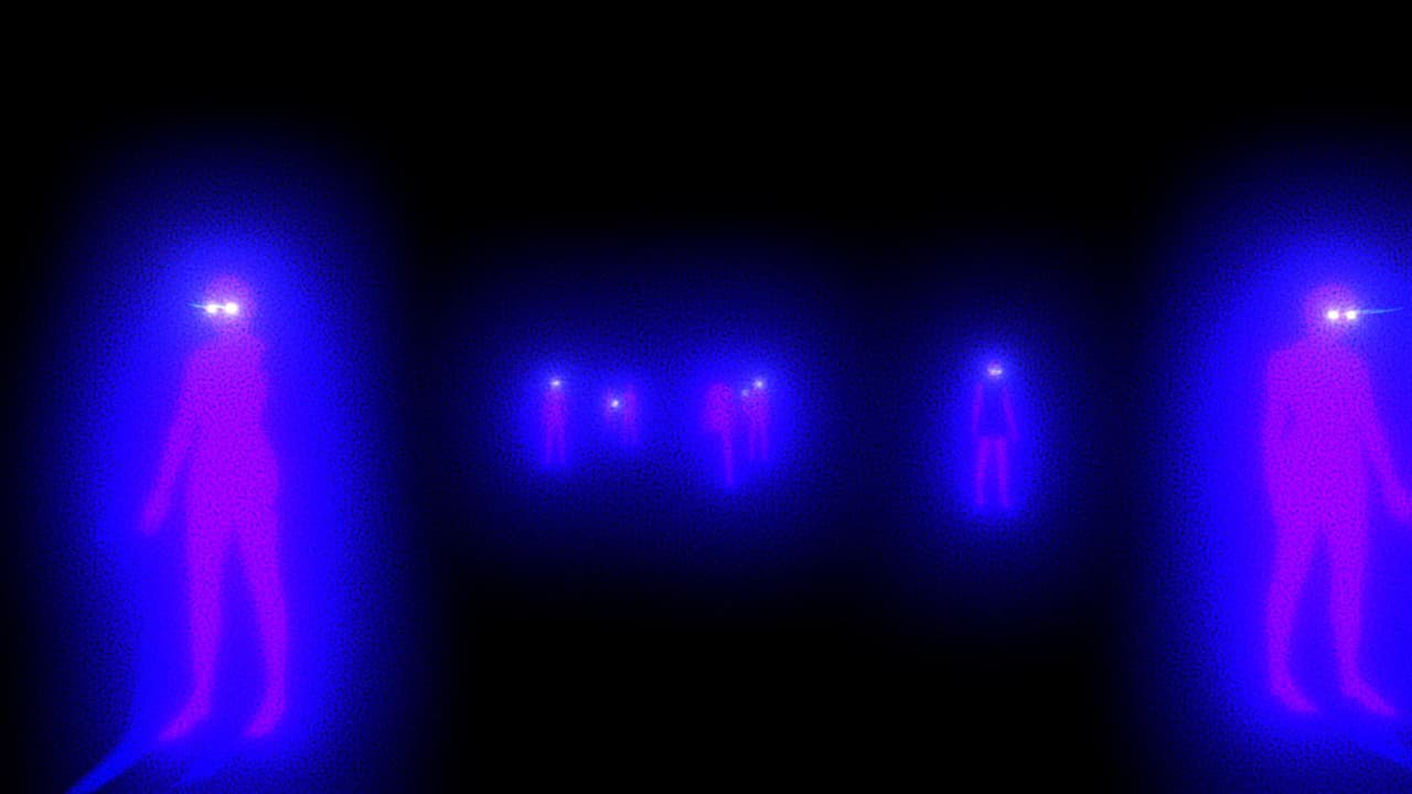 The Flicker