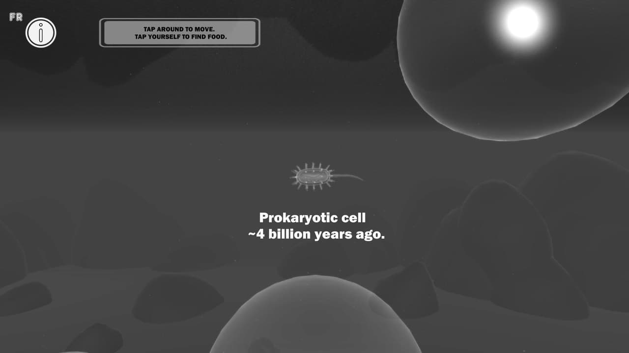 prOto screenshot 3