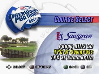 Tiger Woods PGA Tour 2001 screenshot 4