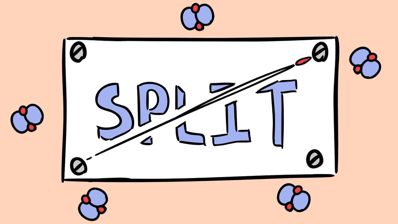 Split (LD49)