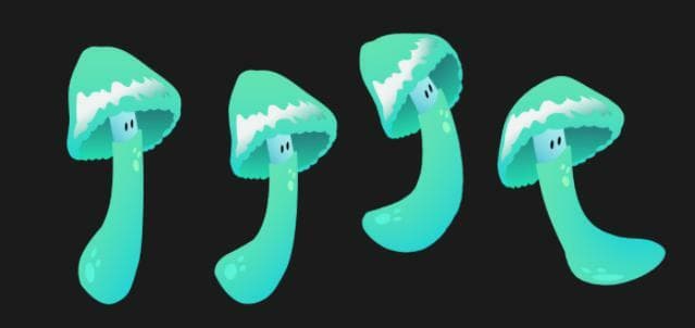 Coeli