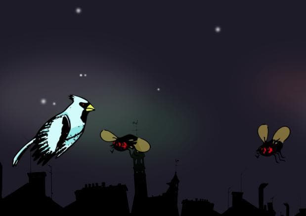 araignée du soir screenshot 4