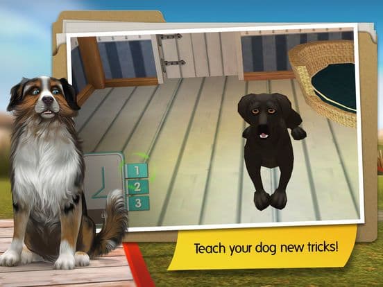 DogHotel Premium- My hotel for labradors screenshot 4