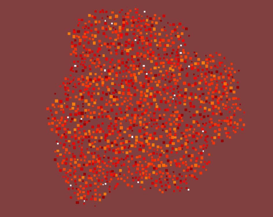 Evolution - Concept Test