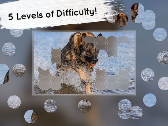 Venn: Jigsaw Puzzle screenshot 5