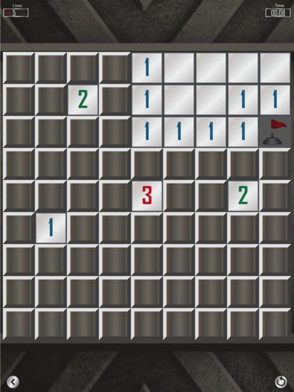 Minesweeper Professional Mines