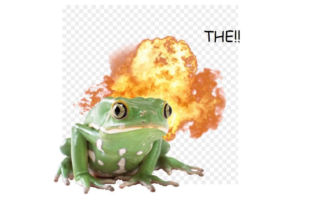 THE!!!