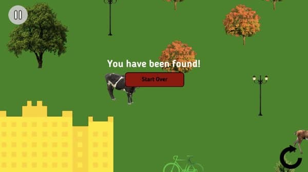 Hide N Seek