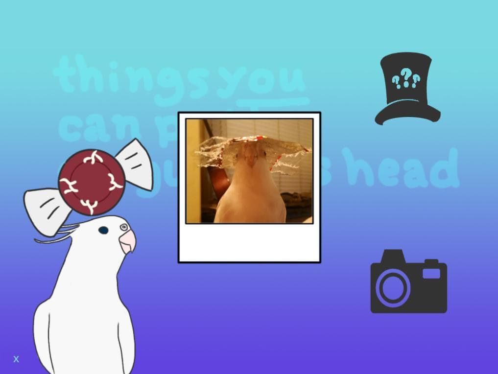things you can put on gunters head