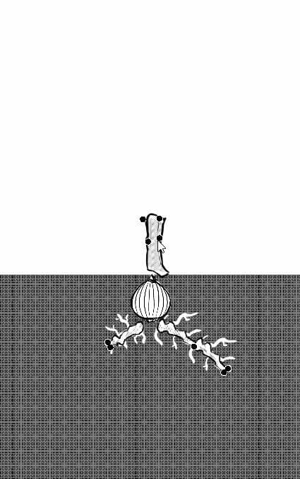 Plant Growth