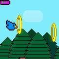 BirDing screenshot 5