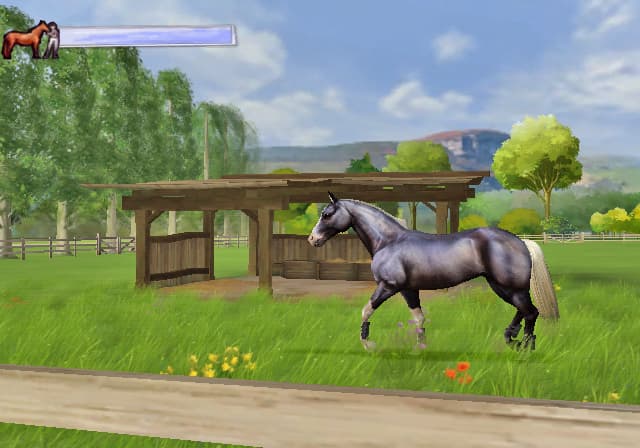 Ellen Whitakers Horse Life screenshot 4