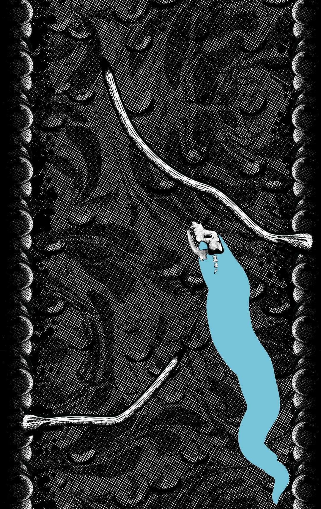 Stray Bones