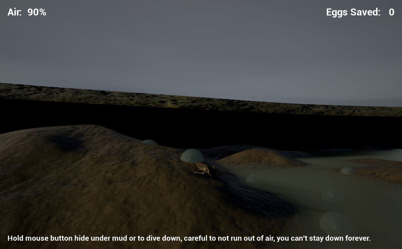Frogs in a Bog