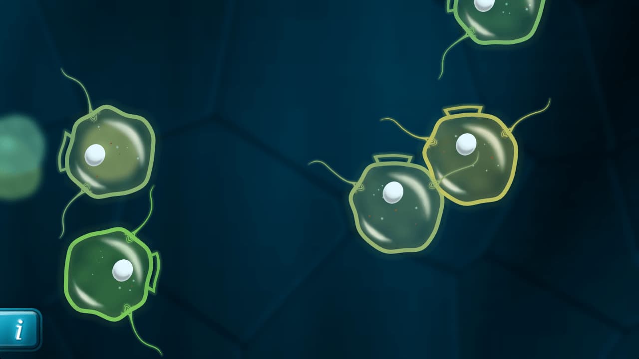 Mitosis screenshot 3