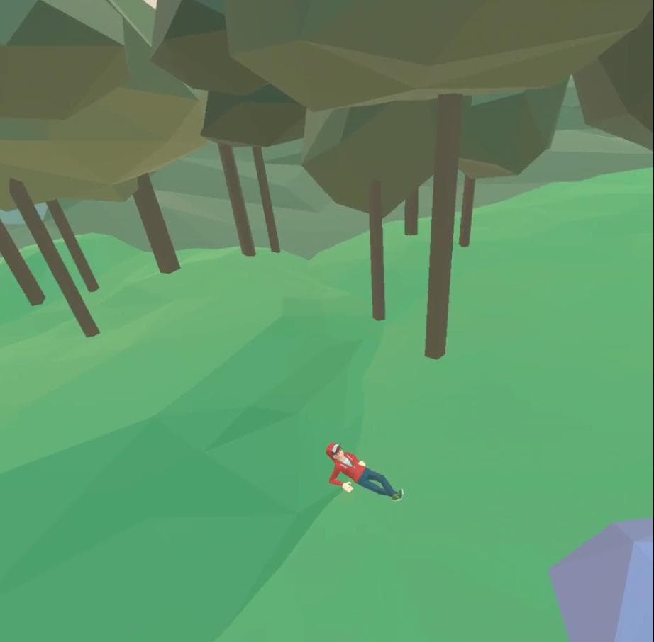 Birdy VR quest