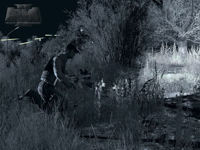 ArmA II: Private Military Company screenshot 6
