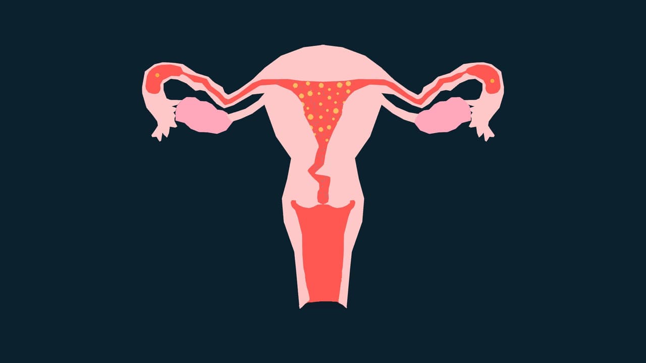 Sperma screenshot 3