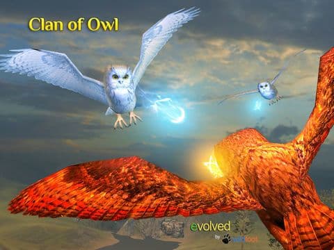 Clan Of Owl