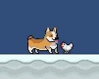 Corgi and Chicken
