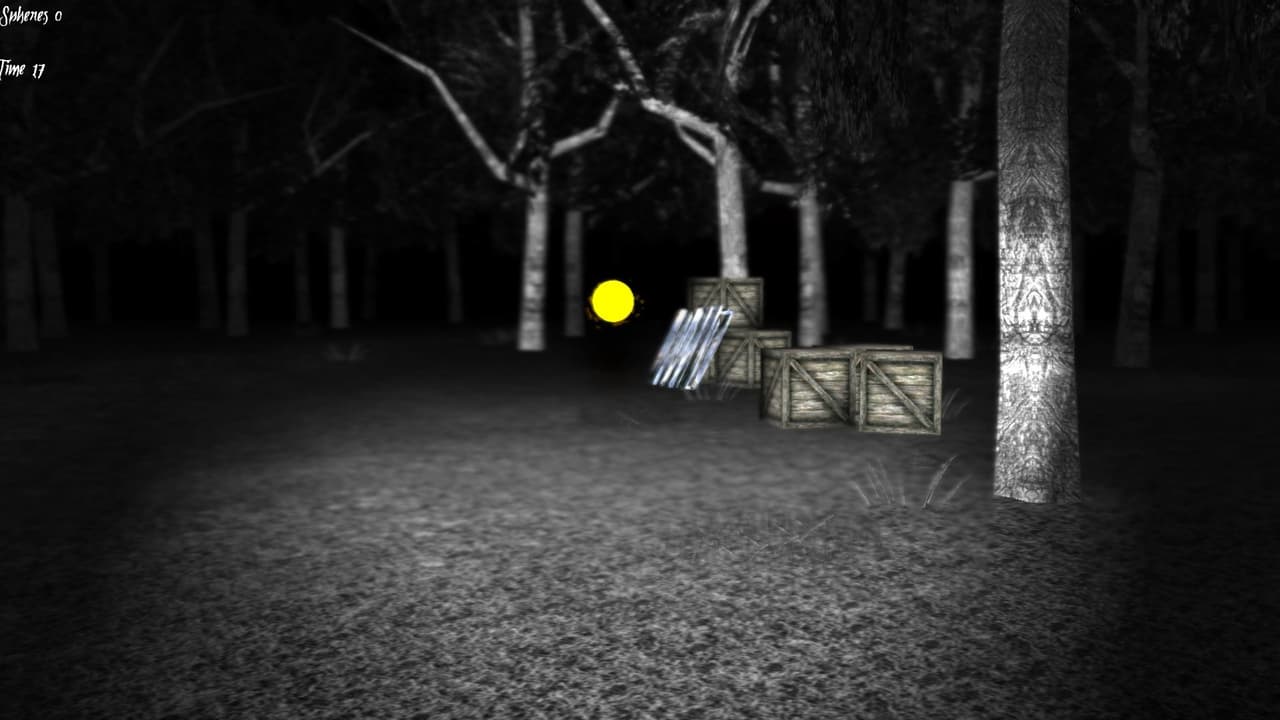 SHADOW (2014) screenshot 4