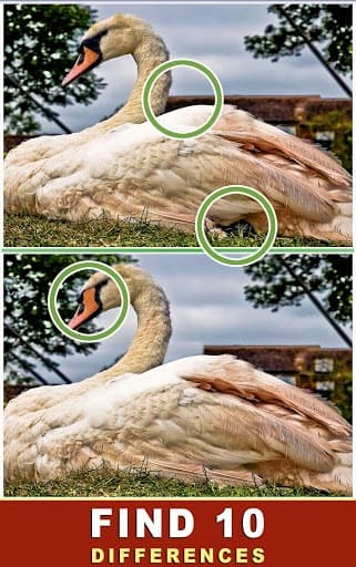 Find The Difference screenshot 3