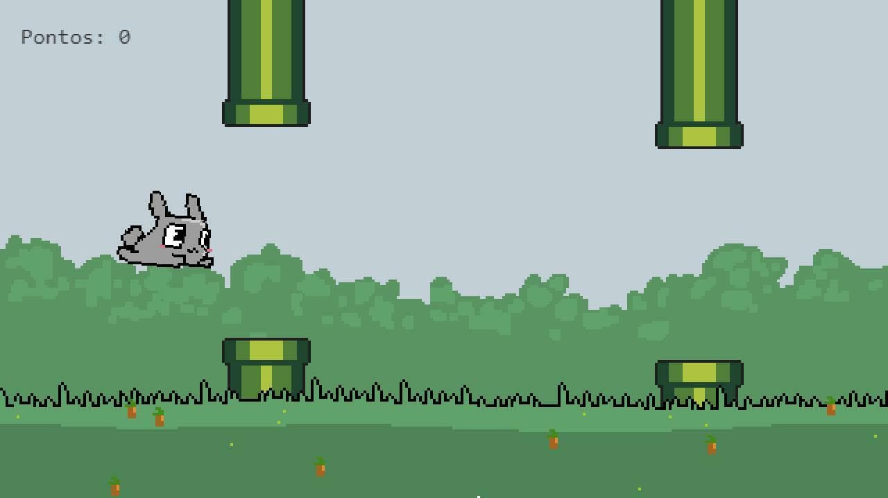 Coelho Jump