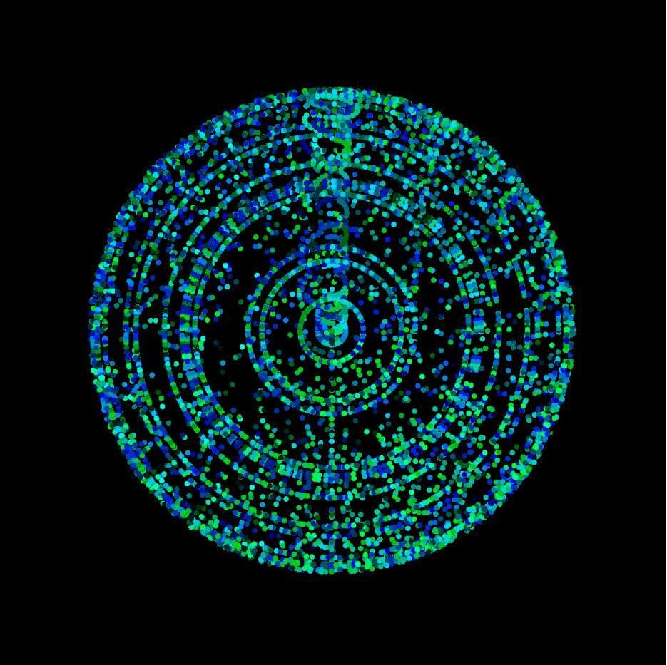 perception pong v1