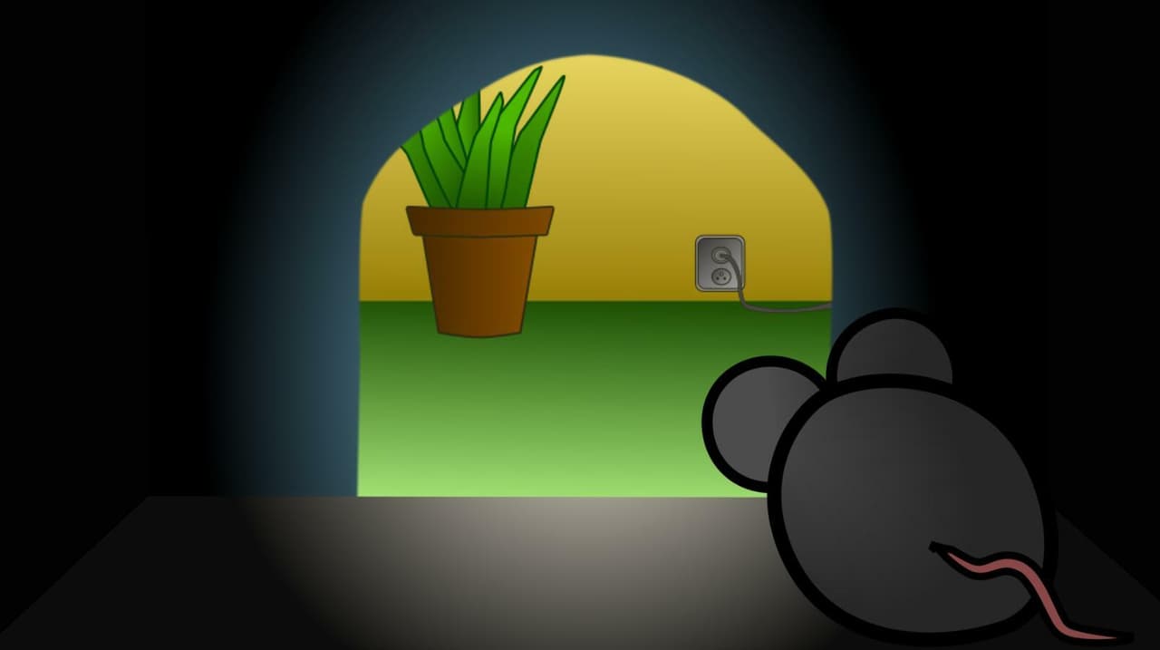 Not What It Seems (maoap, Vlachovka) screenshot 2