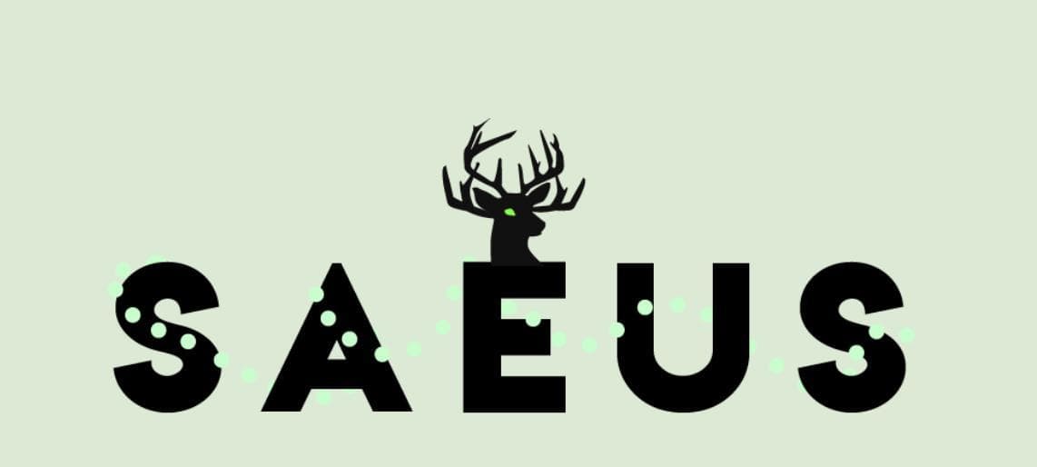 Saeus screenshot 2