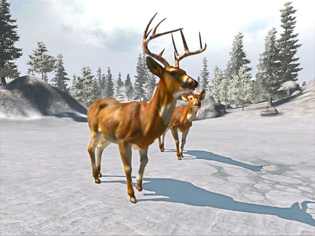 Cabelas Big Game Hunter Trophy Bucks screenshot 2