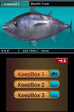 Reel Fishing Paradise 3D