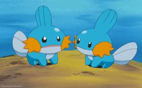 Mudkip Chaos 3