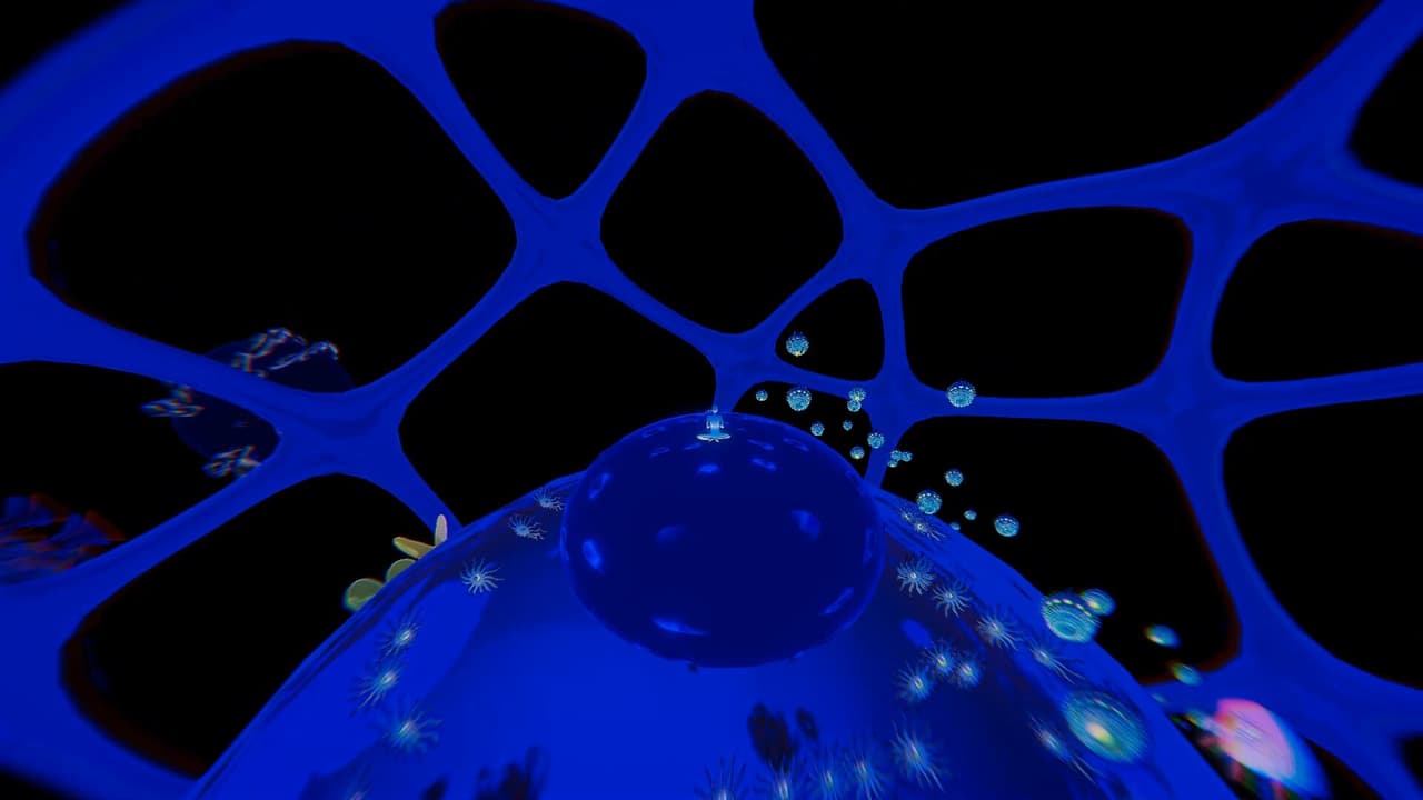 Oceanarium screenshot 6