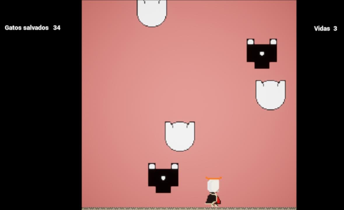 Raining Cats
