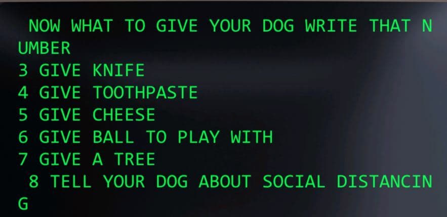 TAKE CARE OF YOUR DOG screenshot 3