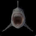 Hydrophobia (itch)