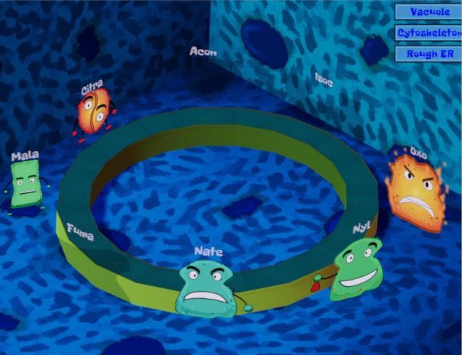 The Energy Cycle
