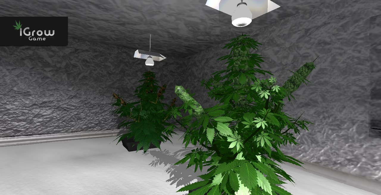 iGrow Game screenshot 2