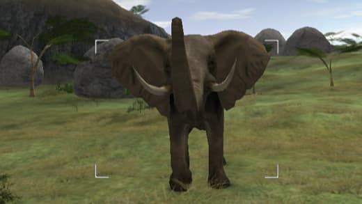 Wild Earth: African Safari screenshot 4