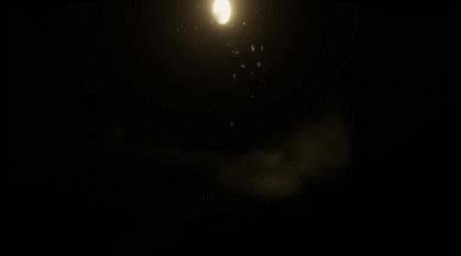 moths screenshot 2