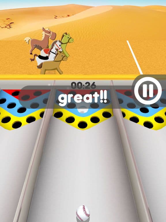 Carnival Horse Racing Game