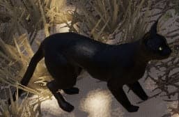 Nine Lives (Lisa Smedman)