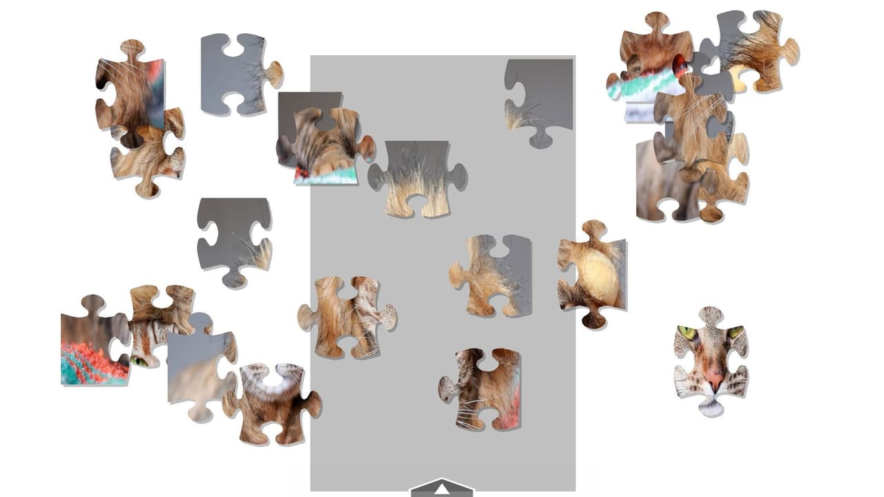Pussy Palace screenshot 6