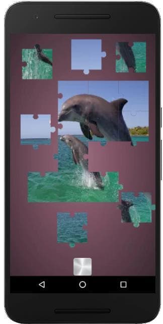 Real Dolphins Game: Jigsaw Puzzle 2019