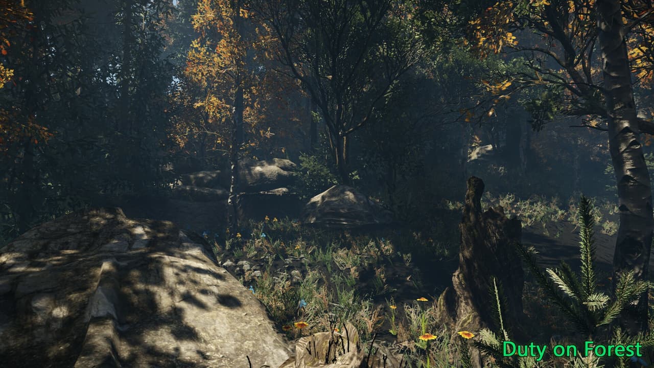 Duty on Forest screenshot 6